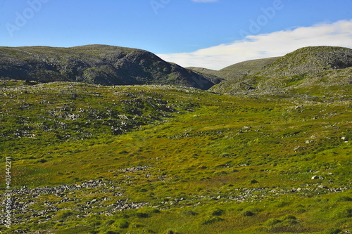 Tundra between and Gamvik, Mehamn, Nordkinn peninsula, Finnmark County