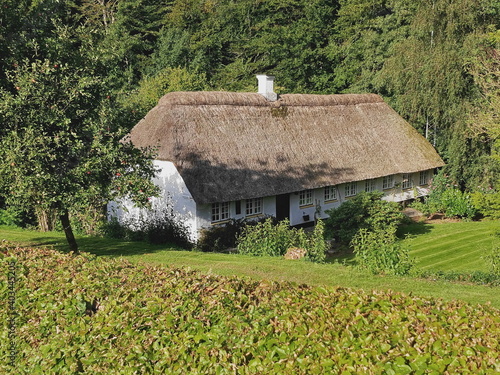 Tandholtvej, near Kolding, Denmark photo