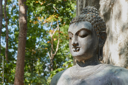 Phayao  Thailand - Nov 29  2020  Headshot Buddha Statue on Green Forest Background in Wat Analayo Thai Temple