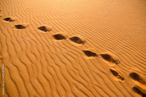 Fussaabdrücke in der Sand Wüste