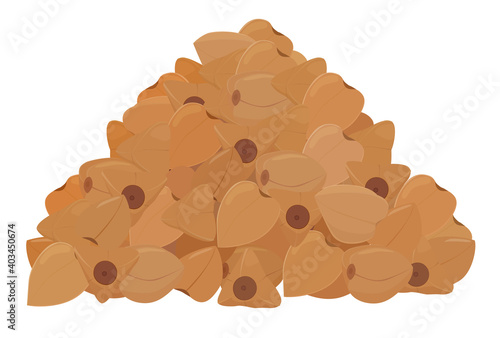 Buckwheat groats grain pile heap isolated on white background. Cartoon vector illustration