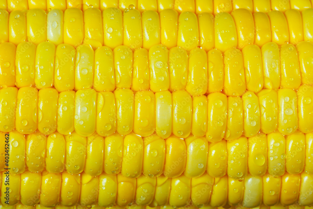Ear of corn - food background Ear of corn - food background