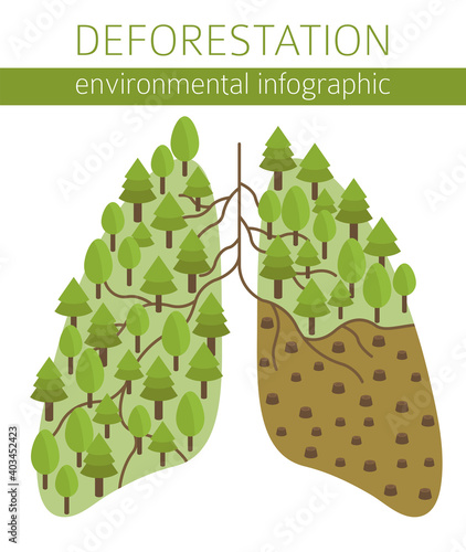 Global environmental problems. Exhaustion of land resources infographic. Deforestation. Vector illustration