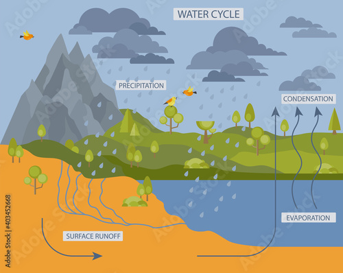 Water cycle. Geography, ecology infographic design. Vector illustration