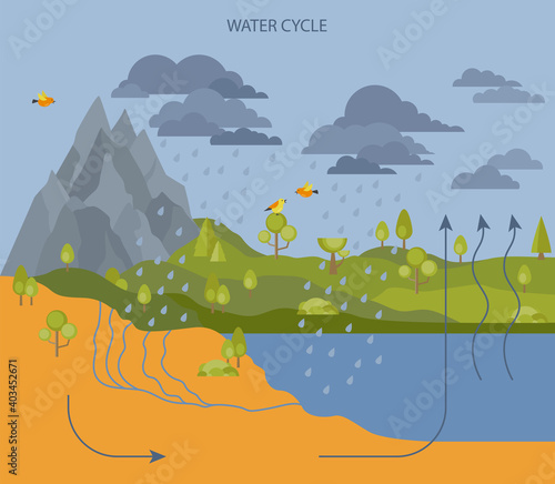 Water cycle. Geography, ecology infographic design. Vector illustration