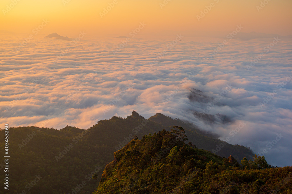 Panorama Aerial view Drone shot of Beautiful scenery landscape sunlight in the morning sunrise above flowing fog waves on mountain peak tropical rainforest in phang nga thailand