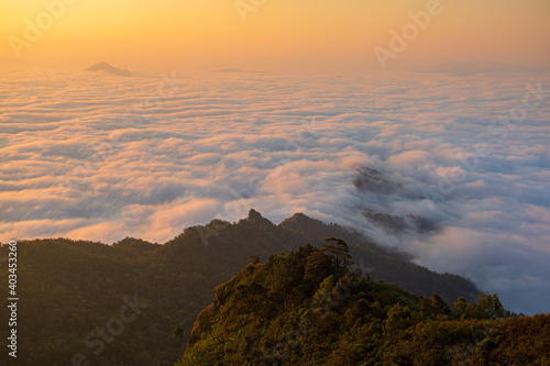 Panorama Aerial view Drone shot of Beautiful scenery landscape sunlight in the morning sunrise above flowing fog waves on mountain peak tropical rainforest in phang nga thailand