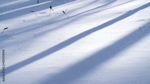 雪の上に伸びる影