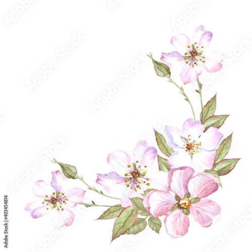 watercolor cherry blossom