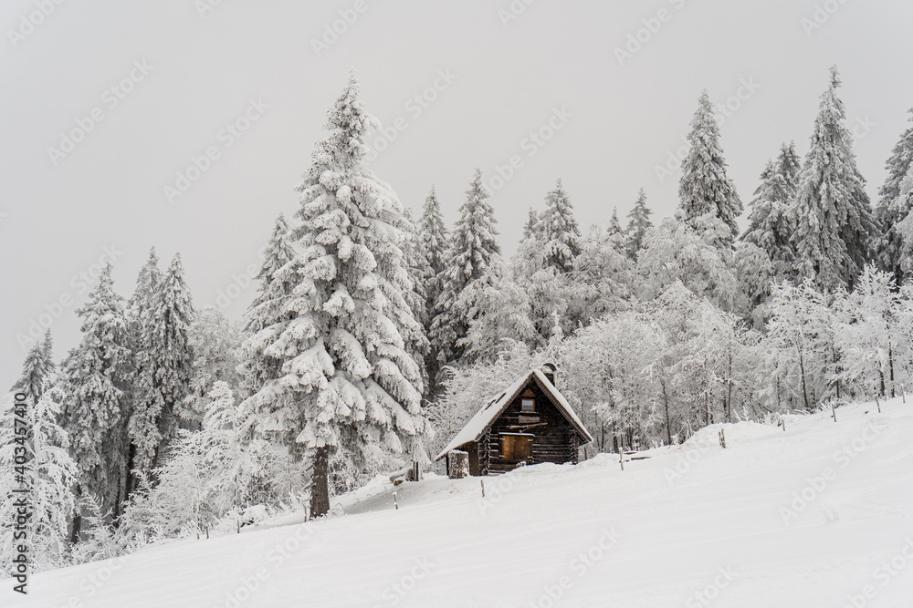 Herzogenhorn im Schwarzwald