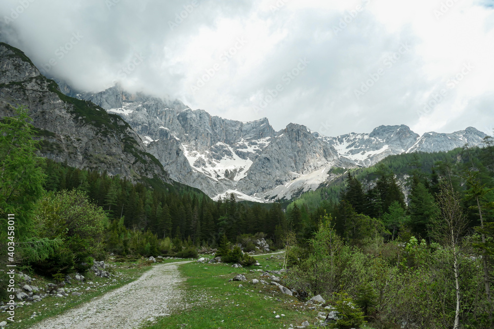 A gravelled road through Alpine valley in Austria in the region of Dachstein. High mountain around, partially covered with snow. Stony and sharp mountains. Overcast. Dense forest at the foothill.
