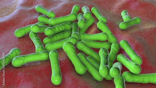 Bacteria Corynebacterium diphtheriae, Gram-positive rod-shaped bacterium that causes respiratory infection diphtheria and also skin lesions, 3D animation photo