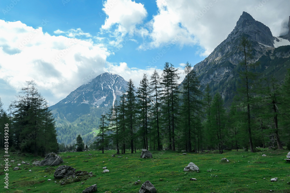An Alpine valley in Austria in the region of Dachstein, lush green meadow. High mountain around, partially covered with snow. Stony and sharp mountains. Overcast. Dense forest at the foothill.