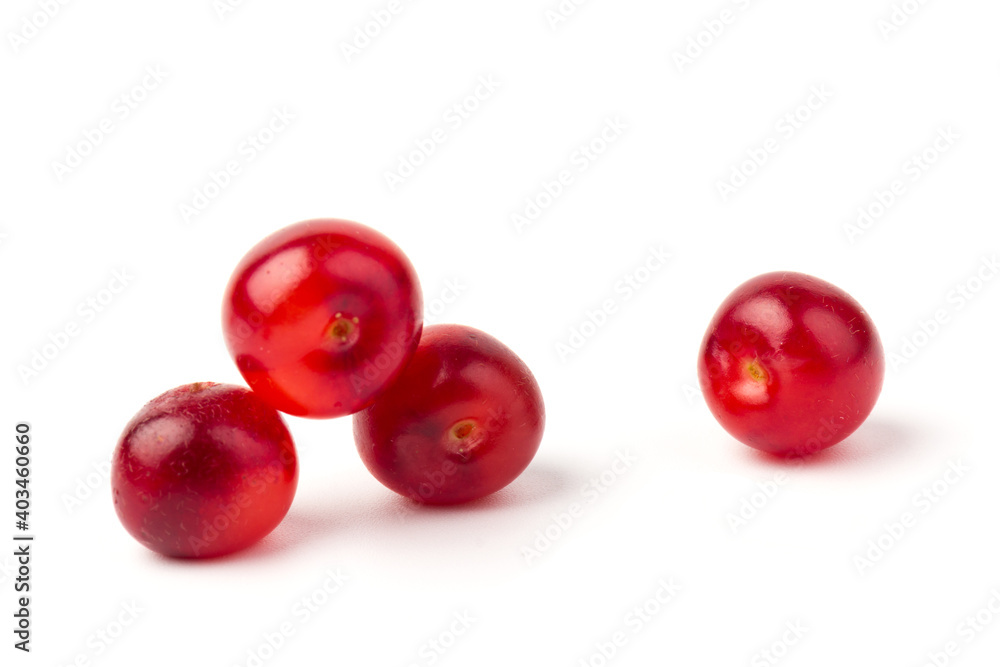 Nanking or felted cherry fruits, isolated on white background Nanking or felted cherry fruits, isolated on white background