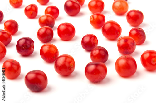 Nanking or felted cherry fruits, isolated on white background