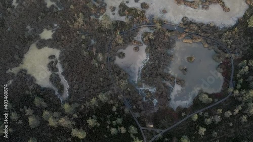mysterious swamp photo
