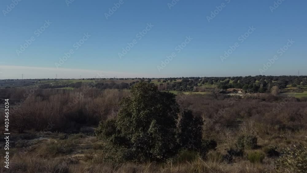 krajobraz góry niebo widok natura drzewa krajobraz góry niebo widok natura drzewa