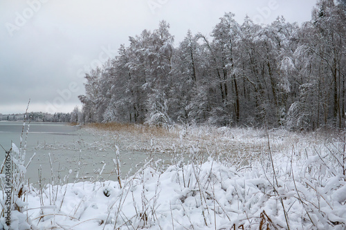 snowy winter in the park