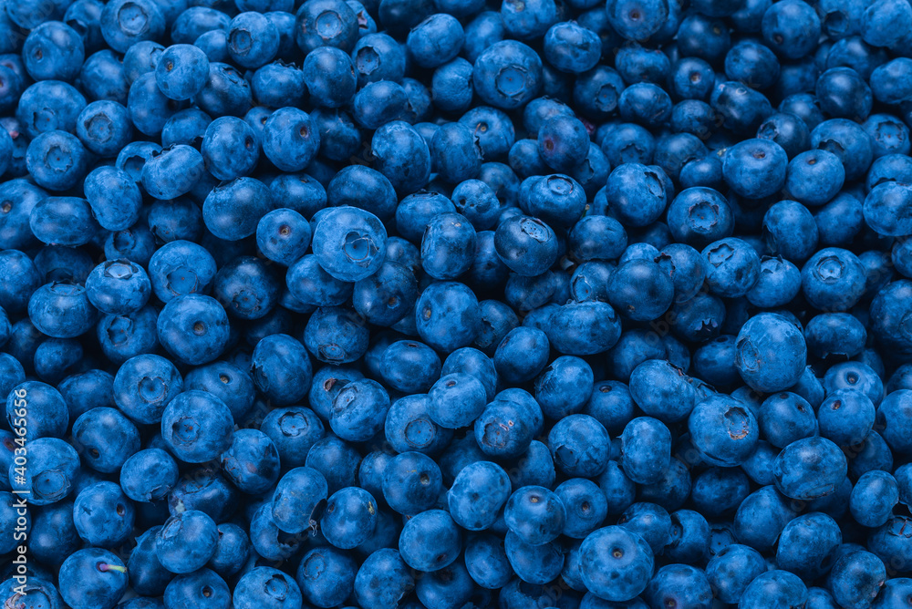 Fresh blueberry background. Fresh blueberry background.