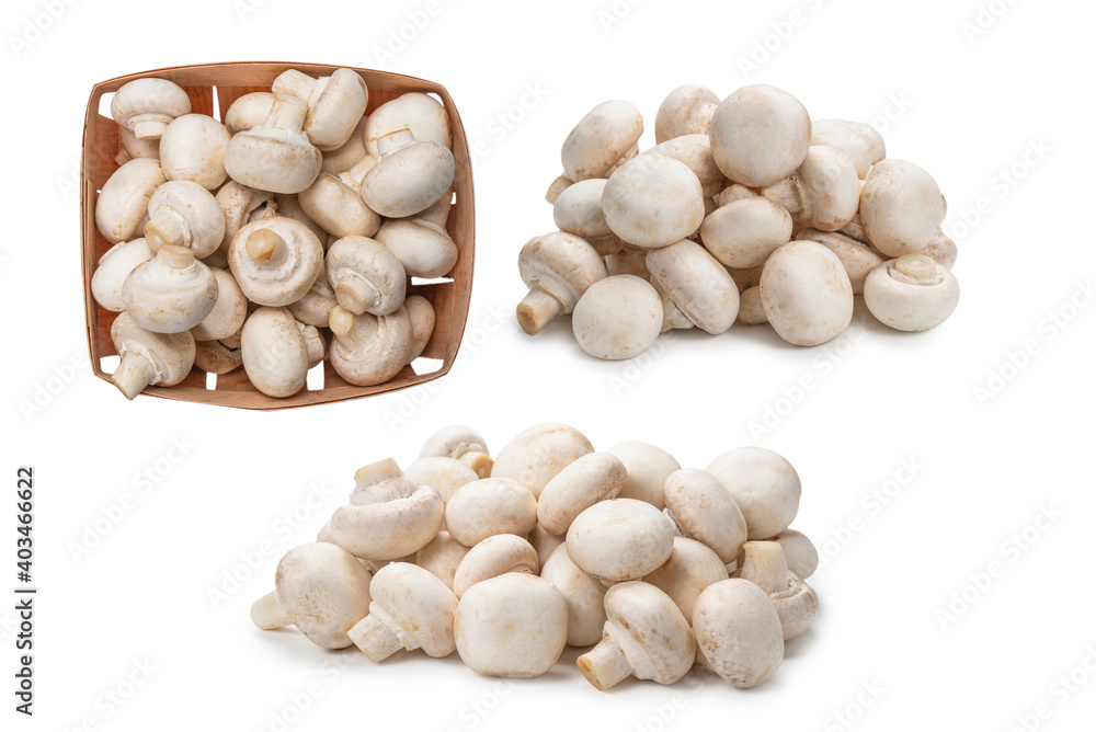 Champignon mushroom isolated on white background. Champignon mushroom isolated on white background.