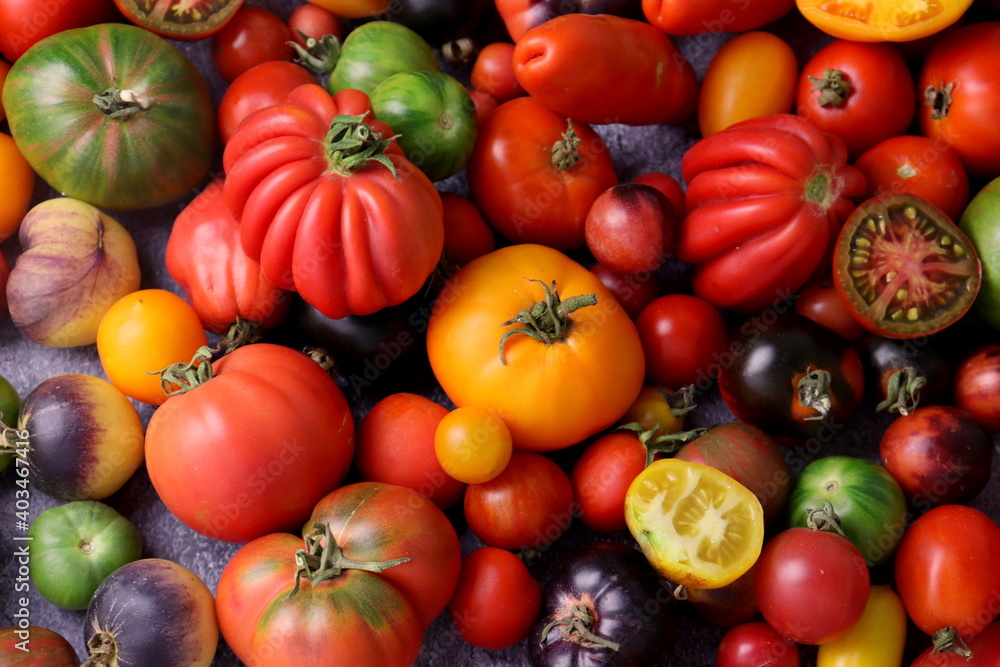 Multicolored tomatoes close-up selective focus. Multicolored tomatoes close-up selective focus.