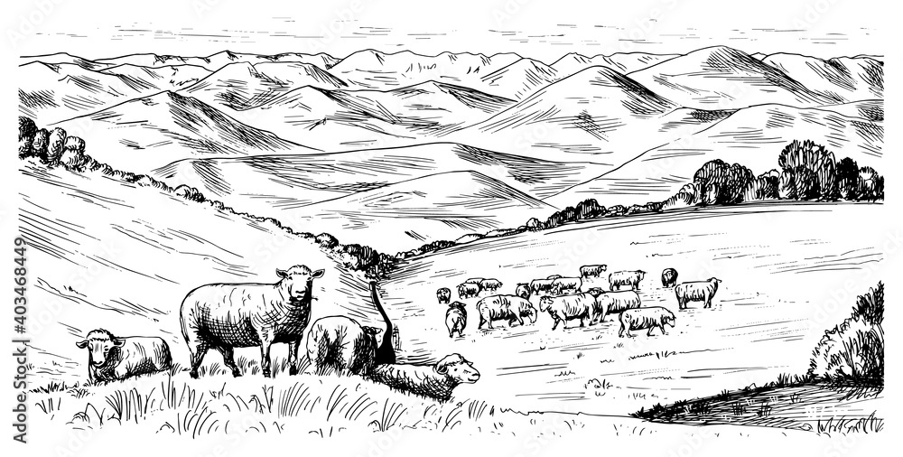 Rural meadow. A village landscape with sheep, hills and a farm. Sunny scenic country view. Hand drawn engraved sketch. Vintage rustic banner for wooden sign or badge or label.