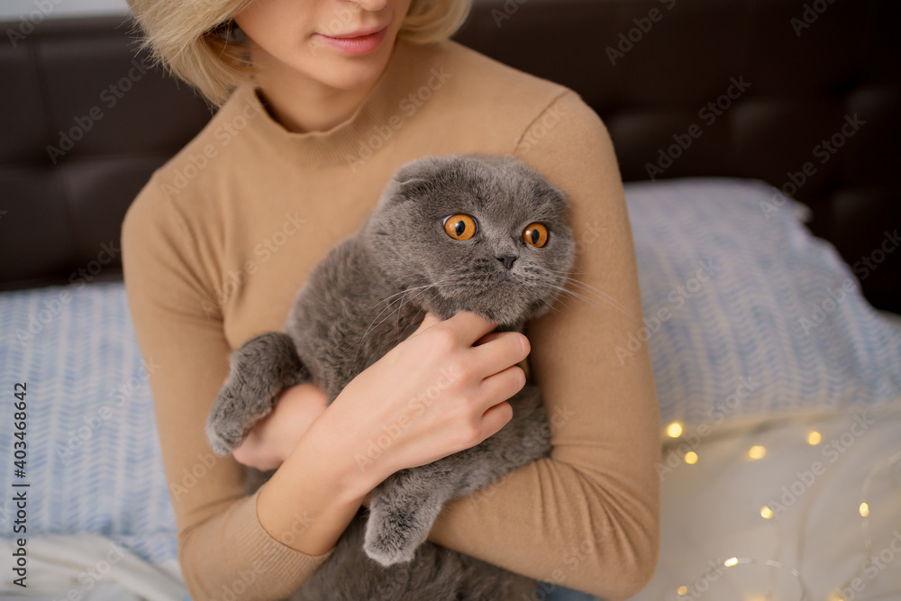 Pets, morning, comfort, rest and people concept - happy young woman with cat in bed at home Pets, morning, comfort, rest and people concept - happy young woman with cat in bed at home