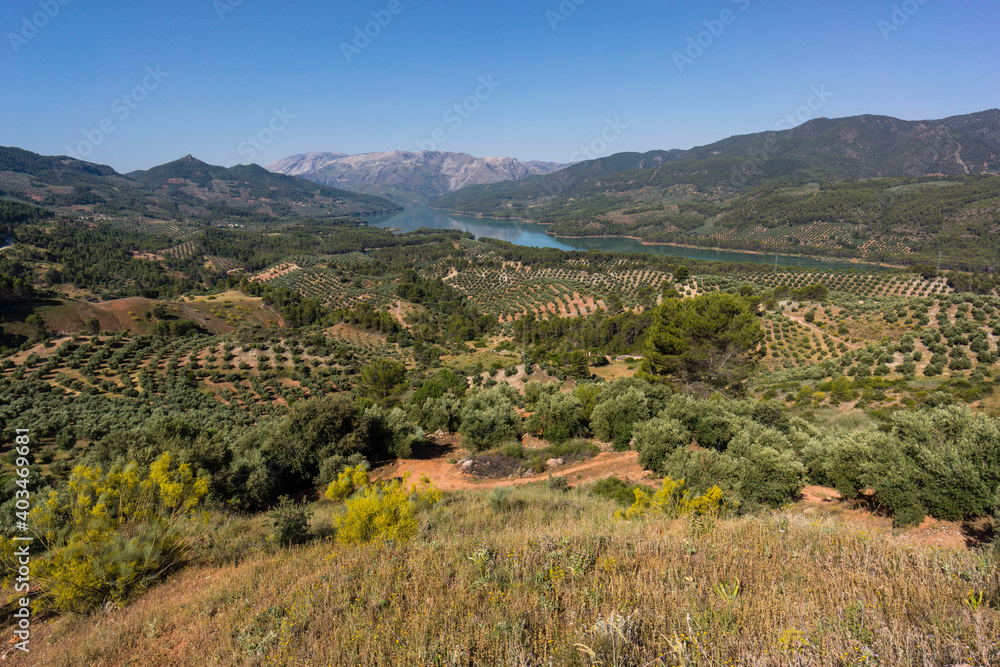 olivos, Hornos, parque natural sierras de Cazorla, Segura y Las Villas, Jaen, Andalucia, Spain