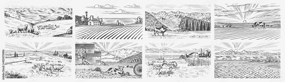 Rural meadow set. A village landscape with cows, goats and lamb, hills and a farm. Sunny scenic country view. Hand drawn engraved sketch. Vintage rustic banner for wooden sign or badge or label.