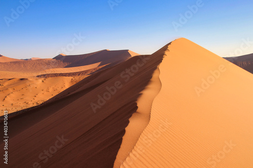 Dune 45 in Sossusvlei Namib Desert - Namib-Naukluft National Park  Namibia  Africa