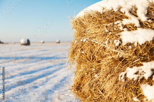 Haystack covered with snow in a field