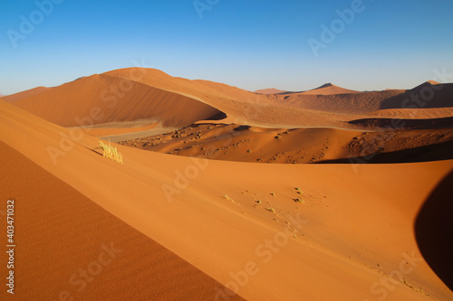 Dune 45 in Sossusvlei Namib Desert - Namib-Naukluft National Park  Namibia  Africa