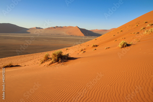 Dune 45 in Sossusvlei Namib Desert - Namib-Naukluft National Park  Namibia  Africa