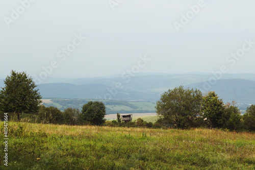 Meadow on a hill