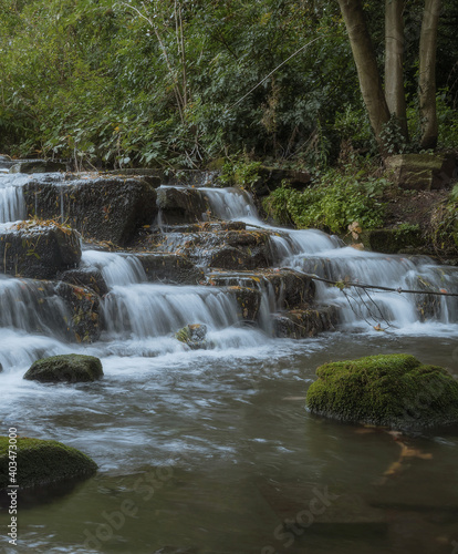 Waterfall in the forest vertical