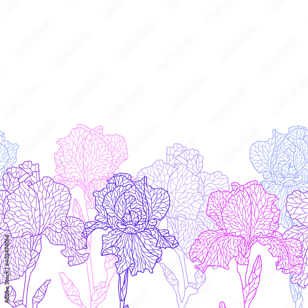 Seamless pattern with violet irises. Seamless pattern with violet irises.