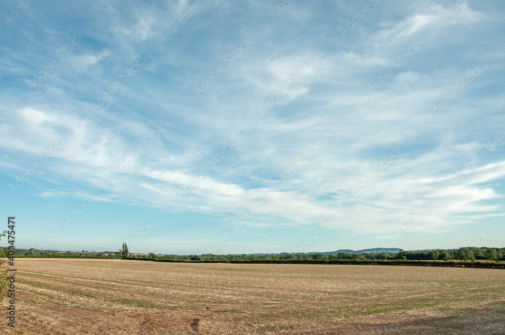 Landscape in the summertime.