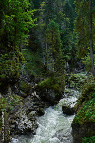 waterfall in the forest