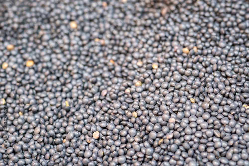Black Puy lentils, sold on local city market Black Puy lentils, sold on local city market