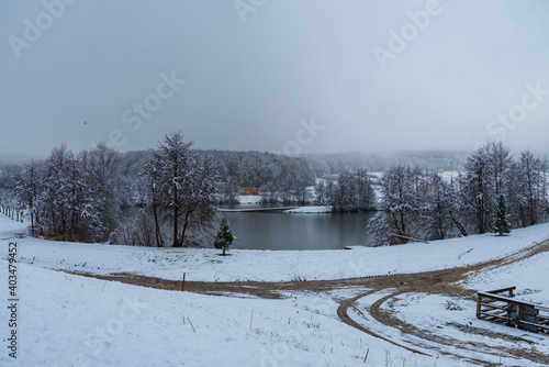 Winter Teich Schnee Wonderland 