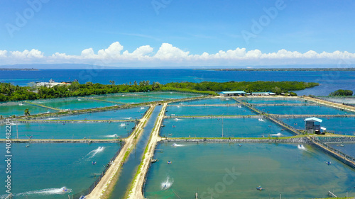 Aerial view of the prawn farm with aerator pump. Bohol  Philippines. Ponds for shrimp farming.