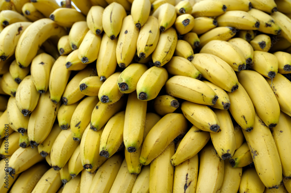 The bananas