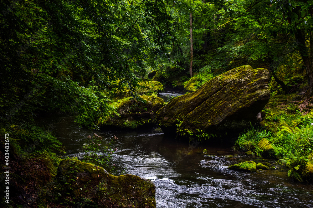 River flowing in a canyon in forest.