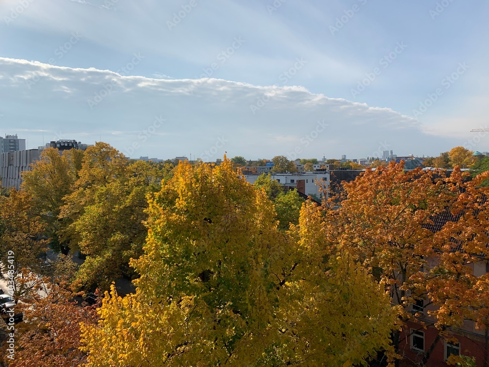 Fototapeta premium autumn in the park