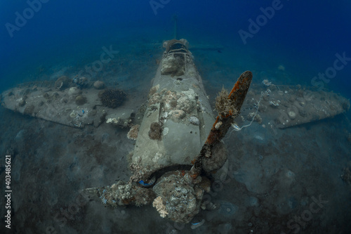 World War 2 Mitsubishi Zero fighter plane wreck underwater covered in coral growth in Papua New Guinea photo