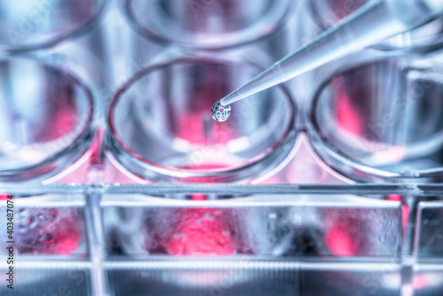 Biotechnology, Scientist pipetting sample into a multi well plate. photo