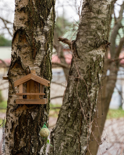 Mały karmnik dla ptaków zawieszony na drzewie. 