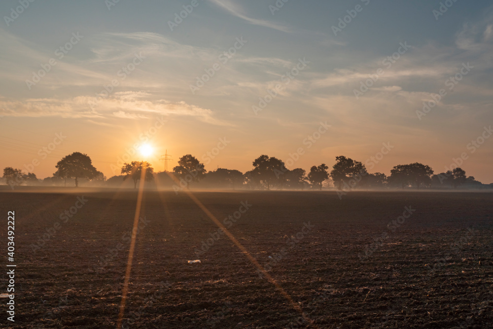 Obraz premium Sonnenaufgang Ahrensburg bei Hamburg