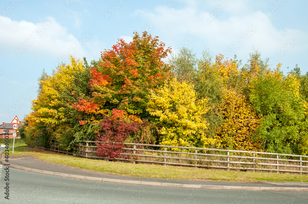 Naklejka premium Autumn in the city