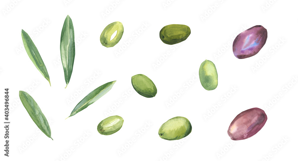 Watercolor set green and black olives and leaves isolated on a white background. Olives. Hand-drawn illustration Watercolor set green and black olives and leaves isolated on a white background. Olives. Hand-drawn illustration
